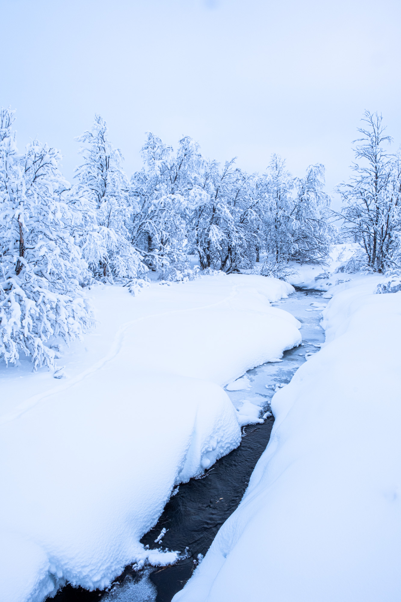 2024 01 04  xt 5   7625